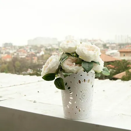 аркадия аркадийский дворец с террасой * Odessa